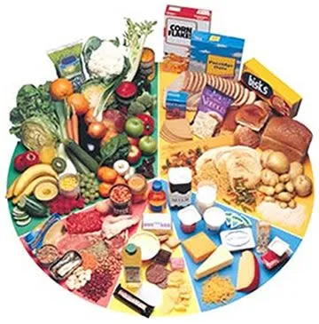 Tipos de alimentos: clasificacion de los alimentos