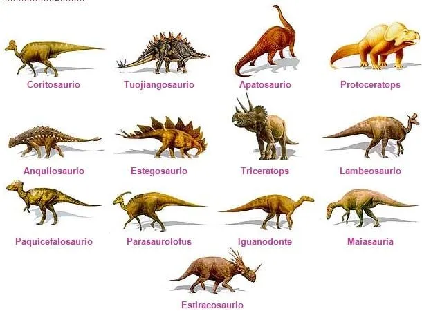 Tipos de dinosaurios | Dinosaurios