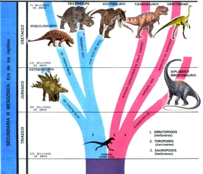 Tipos de Dinosaurios Teoria de la Extincion de los Dinosaurios ...
