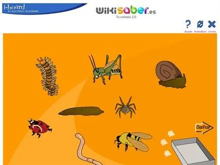 Tipos de invertebrados - Biblioteca Escolar Digital
