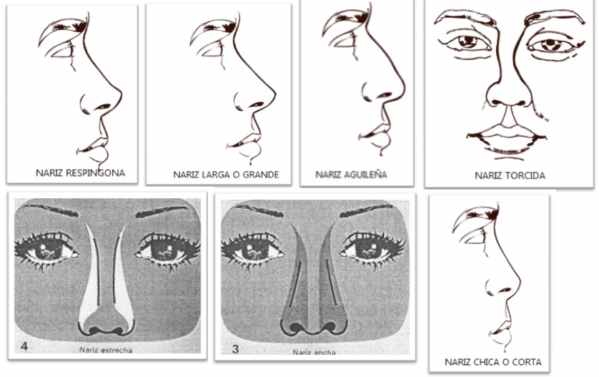 Existen 14 tipos de nariz: descubre cuál es la tuya - Taringa!