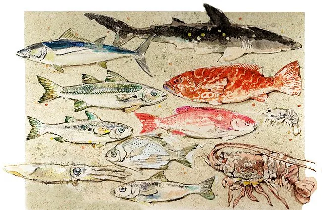 Tipos de peces con sus nombres - Imagui
