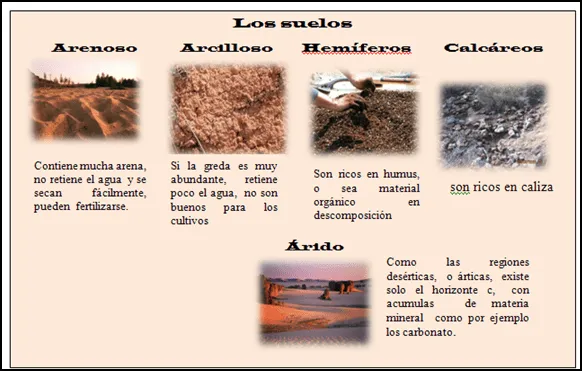 Tipos de suelo arenoso arcilloso y humifero - Imagui