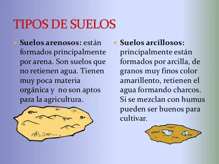Tipos de suelos arenoso arcilloso humifero - Imagui Tipos de suelos arenoso arcilloso humifero - Imagui