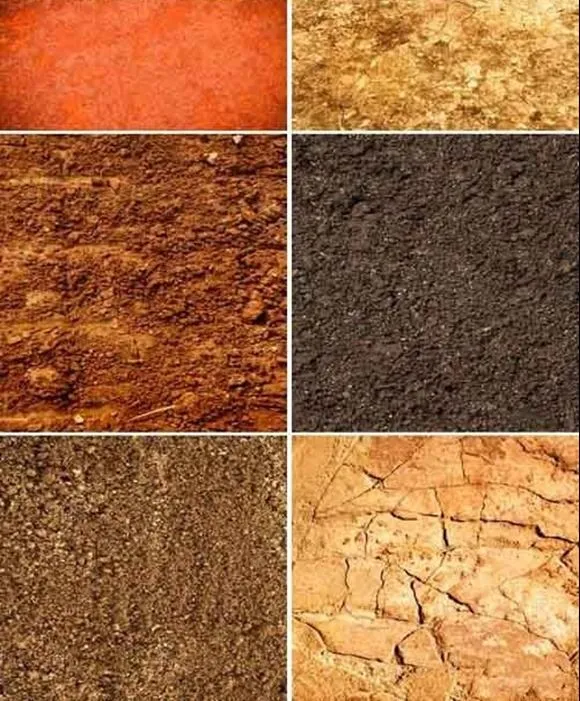 Tipos de suelos | Siembra organica