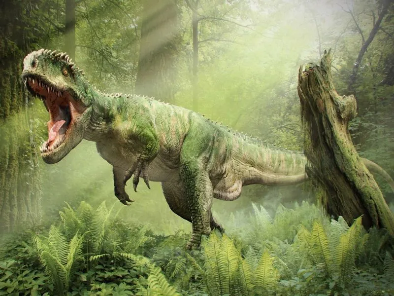 Tiranosaurio Rex - Fotos, Hechos y Historia | Dinosaurios Tiranosaurio Rex - Fotos, Hechos y Historia | Dinosaurios