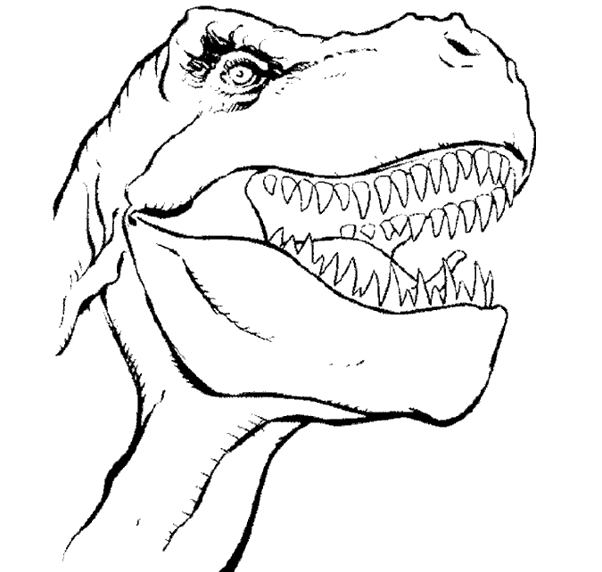 Dino rex el dibujito - Imagui