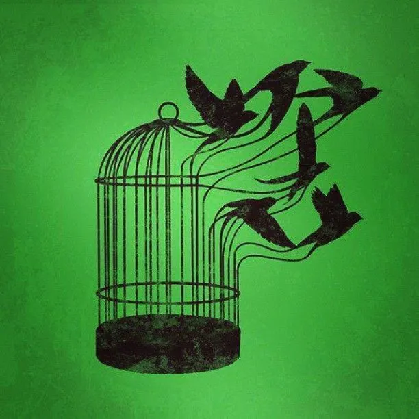 Sin título, #rejas #volar #dibujo #libertad #pájaros