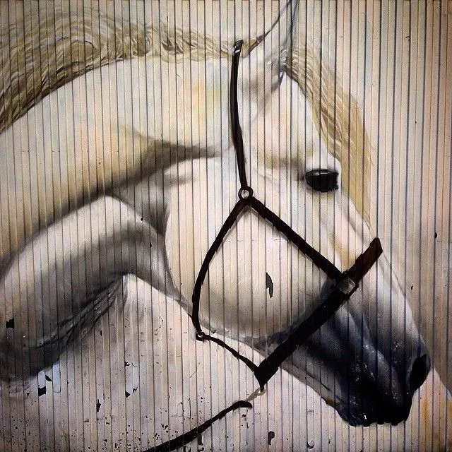 tocapartituras.com — A door with a horse drawing street art in ...