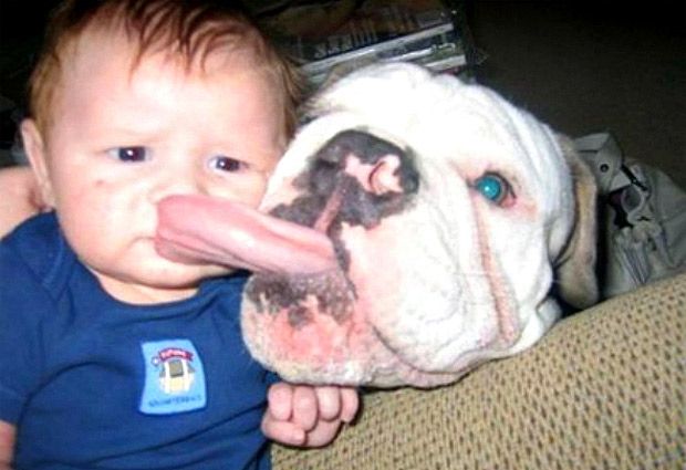 Top 10: Increíbles imágenes del “amor” de los bebés por sus mascotas - Guioteca