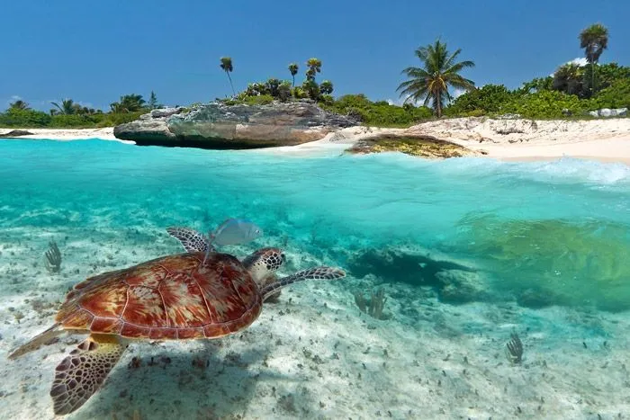 Top 10 de las playas más bonitas de América. | Tukan Hotels ...