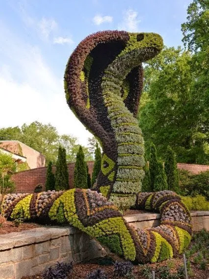 Topiary o topiaria arte de crear esculturas o figuras con plantas ... Topiary o topiaria arte de crear esculturas o figuras con plantas ...