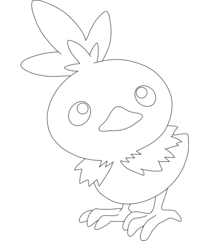 Torchic Coloring page | Free Printable Coloring Pages