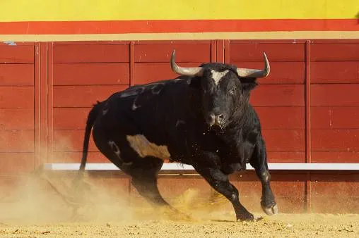 El Toro de Cenicientos: Crónica 14 Agosto: PICADORES REJONEADORES El Toro de Cenicientos: Crónica 14 Agosto: PICADORES REJONEADORES
