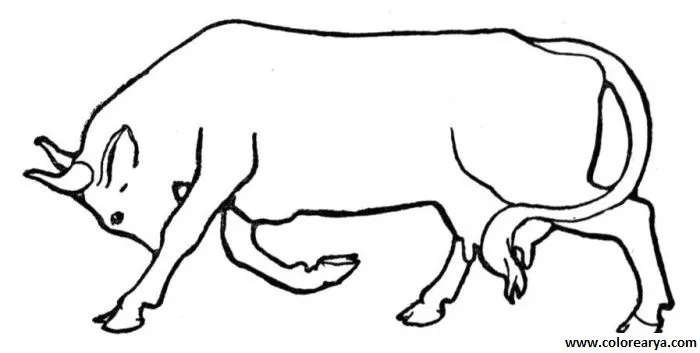 Un toro para pintar - Imagui