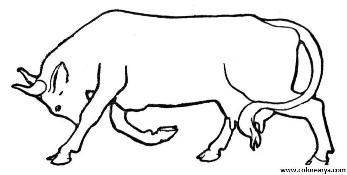 Dibujos de toros para colorear - Imagui