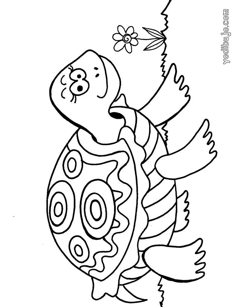 Dibujo para colorear Tortuga - Dibujos para imprimir TORTUGAS