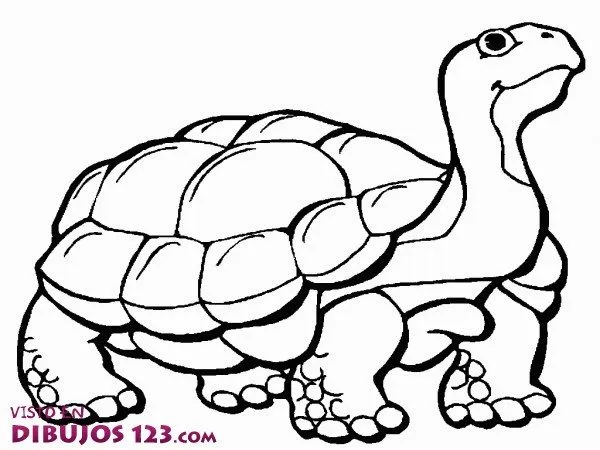 tortuga-grande-para-colorear.jpg