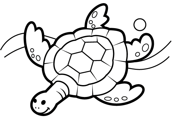 Imagen de tortugas marinas para colorear - Imagui
