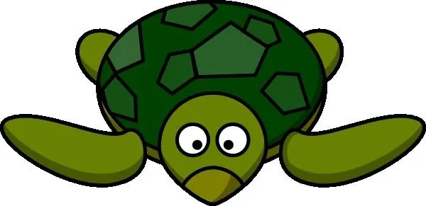YouTube: Creían que tenía un parasito, pero esta tortuga escondía ...