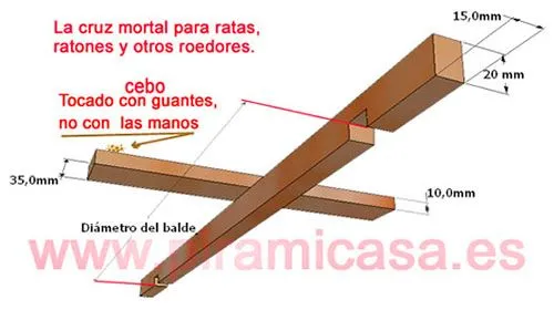TRAMPA PARA RATAS CASERA Y EFECTIVA - Cosas Gratis - Piramicasa