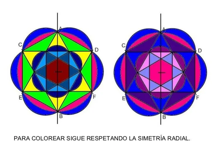 trazado-de-simetra-radial-15- ...