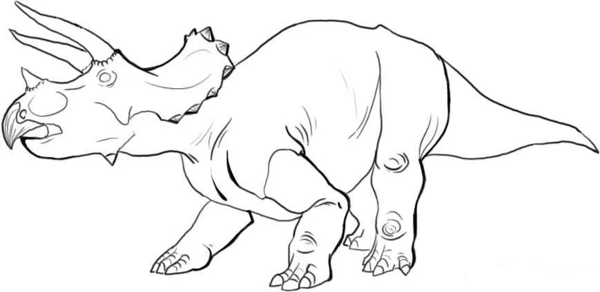 Triceratops para colorear - Dibujo Views