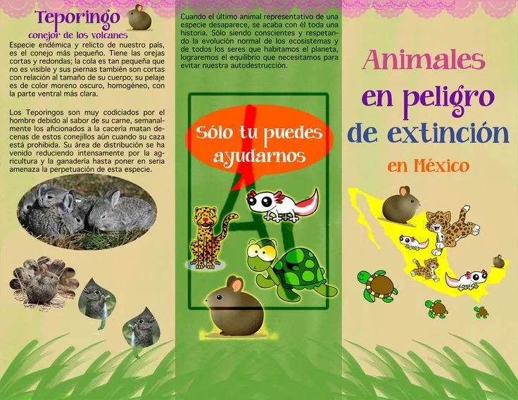 Tríptico animales en peligro de extinción en México | Trípticos ...