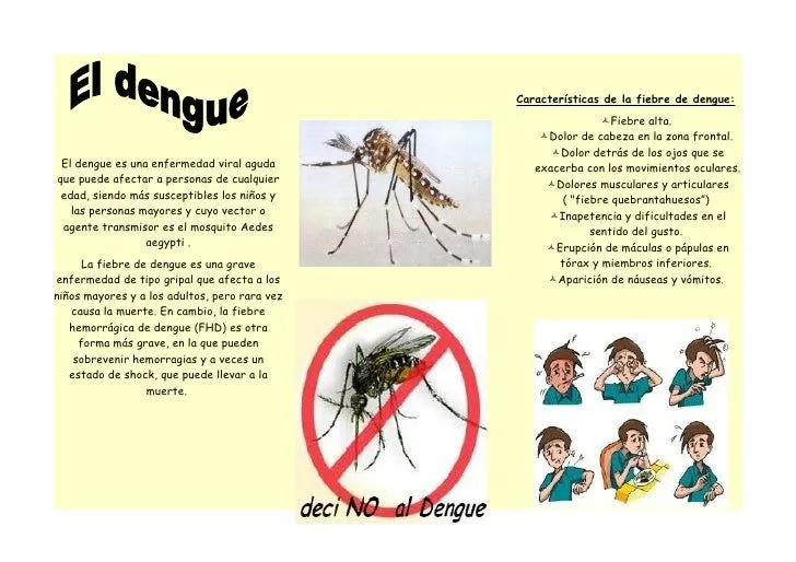 Tríptico dengue