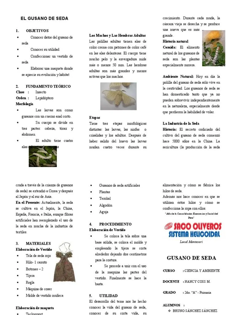 Triptico Gusano de Seda | PDF | Seda | Lepidópteros