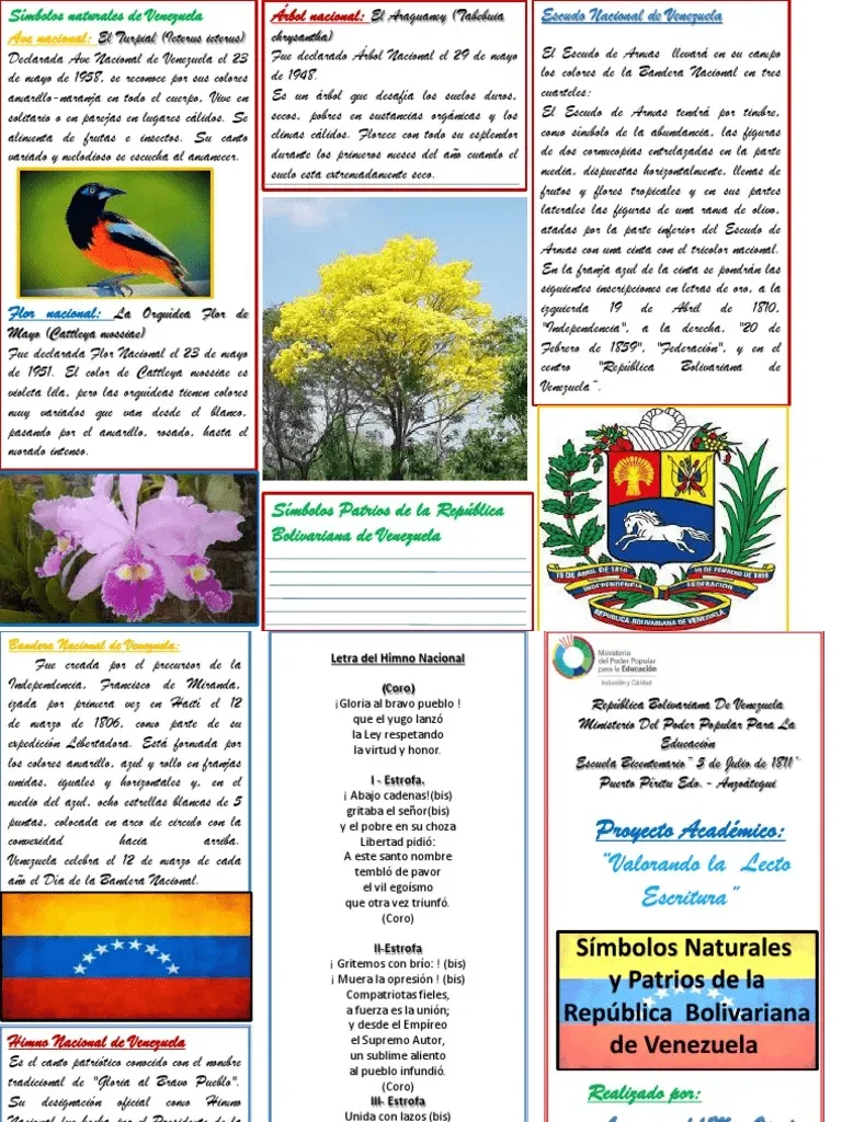 Tríptico de Símbolos Patrios y Naturales DE VENEZUELA | Simbolos patrios,  Venezuela, Simbolos nacionales