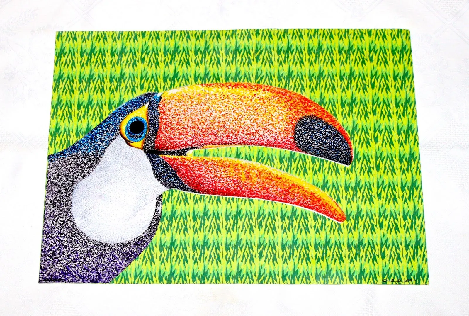 Tucán | Arte y Fotografía Tucán | Arte y Fotografía