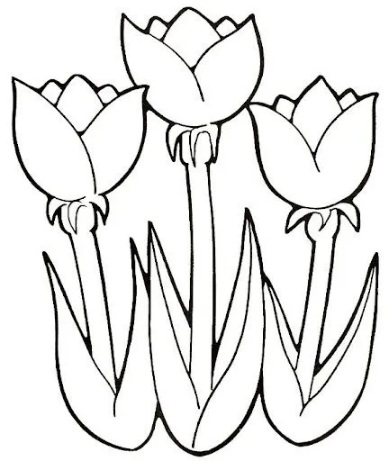 Tulipanes para colorear e imprimir - Imagui Tulipanes para colorear e imprimir - Imagui