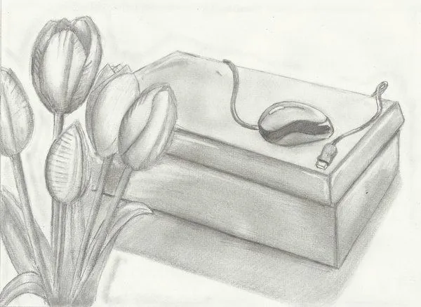 Dibujos de tulipanes a lapiz - Imagui