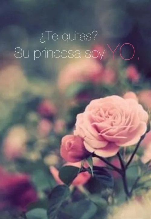 Flores frases tumblr - Imagui
