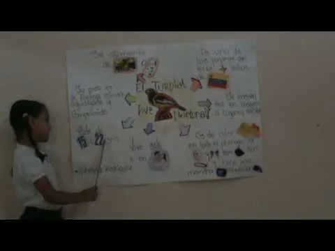 Turpial ave nacional venezuela - YouTube