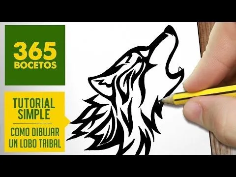 Tutorial Como Dibujar un Lobo Parte 1/2 - Youtube Downloader mp3