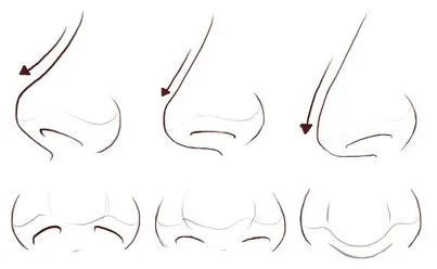 Tutorial como dibujar tipos de nariz | Beedraw | Recursos de ...