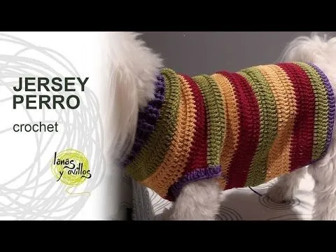 Tutorial Jersey Para Perro Crochet o Ganchillo - YouTube
