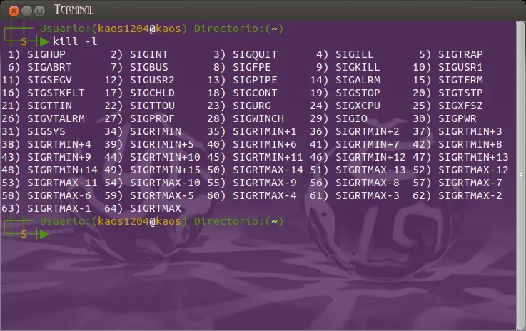 ubuntu-guia: Comandos básicos para la terminal de Ubuntu