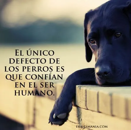 El único defecto de los perros es que .... Frases. El único defecto de los perros es que .... Frases.