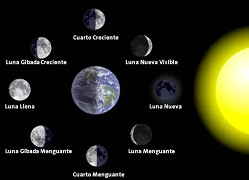Universo: Las Fases de la Luna observadas desde nuestro Planeta ...