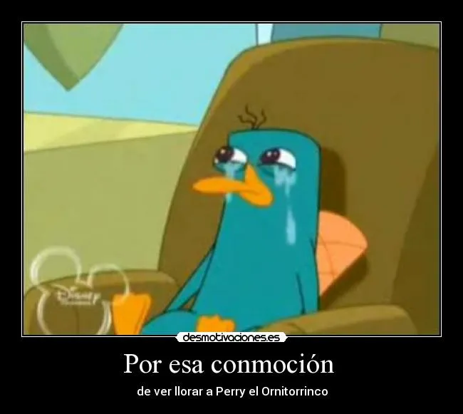 Imagenes de Perry el ornitorrinco triste - Imagui
