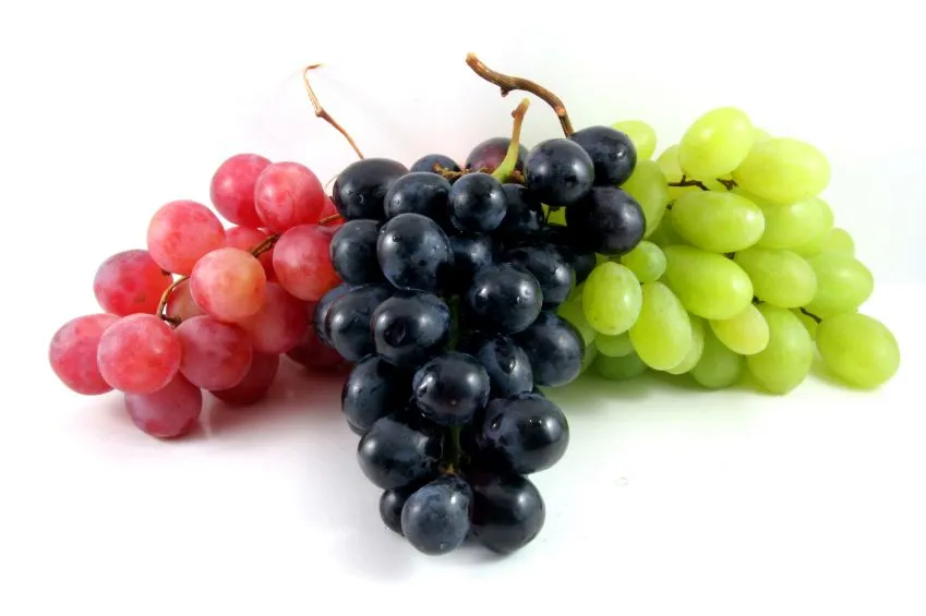 La uva aporta grandes beneficios para la salud cardiovascular