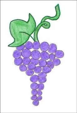 La uva es una fruta obtenida de la vid. Los granos de uva, vienen en ...