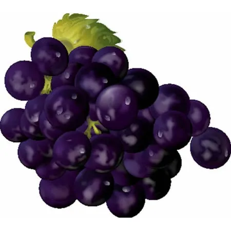 Uvas animado - Imagui