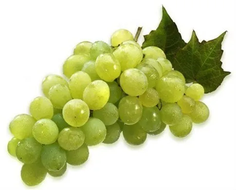 las uvas de victoria-Uvas Frescas-Identificación del producto ...