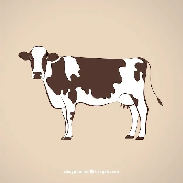 Vaca | Fotos y Vectores gratis