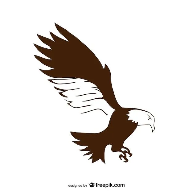 Vector de águila dibujada a mano | Descargar Vectores gratis