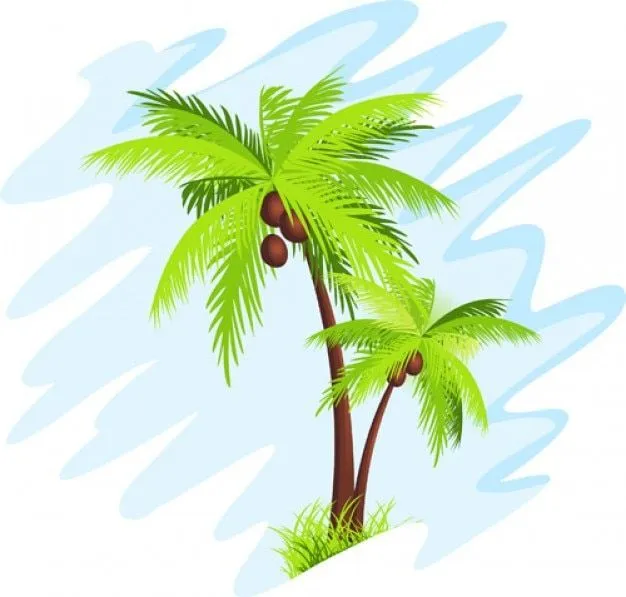 Vector Palm Tree Vector | Free Download